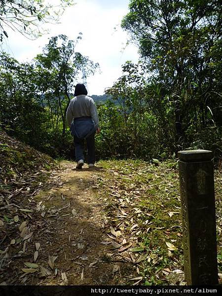 東勢格越嶺古道.臭頭山 126