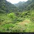 東勢格越嶺古道.臭頭山 151