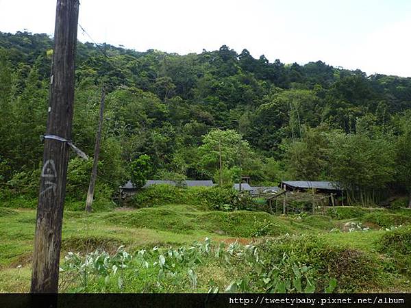 東勢格越嶺古道.臭頭山 152