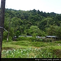 東勢格越嶺古道.臭頭山 152