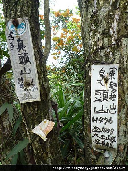 東勢格越嶺古道.臭頭山 172