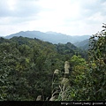 東勢格越嶺古道.臭頭山 178