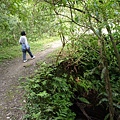 東勢格越嶺古道.臭頭山 215