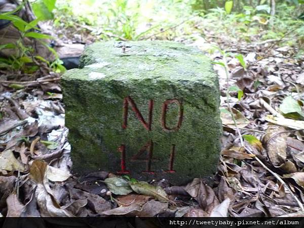 中山地政事務所N802.測量大隊TP01.莊子頂山.竹子湖山.海芋.頂北投大庄山.白雲山未遇 129