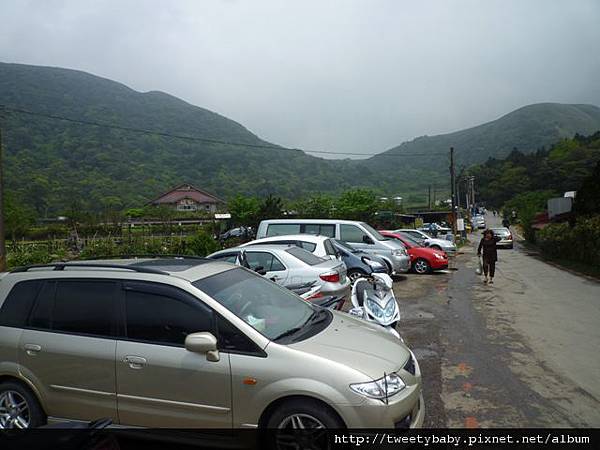 中山地政事務所N802.測量大隊TP01.莊子頂山.竹子湖山.海芋.頂北投大庄山.白雲山未遇 157