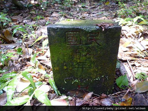 中山地政事務所N802.測量大隊TP01.莊子頂山.竹子湖山.海芋.頂北投大庄山.白雲山未遇 165 中山地政事務所N802.測量大隊TP01.莊子頂山.竹子湖山.海芋.頂北投大庄山.白雲山未遇 165