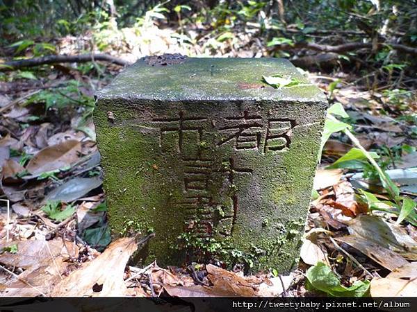 中山地政事務所N802.測量大隊TP01.莊子頂山.竹子湖山.海芋.頂北投大庄山.白雲山未遇 166 中山地政事務所N802.測量大隊TP01.莊子頂山.竹子湖山.海芋.頂北投大庄山.白雲山未遇 166