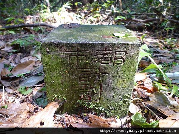 中山地政事務所N802.測量大隊TP01.莊子頂山.竹子湖山.海芋.頂北投大庄山.白雲山未遇 166