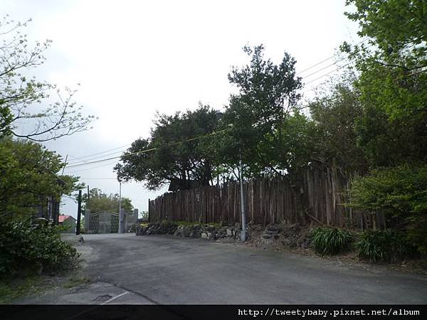 中山地政事務所N802.測量大隊TP01.莊子頂山.竹子湖山.海芋.頂北投大庄山.白雲山未遇 184 中山地政事務所N802.測量大隊TP01.莊子頂山.竹子湖山.海芋.頂北投大庄山.白雲山未遇 184