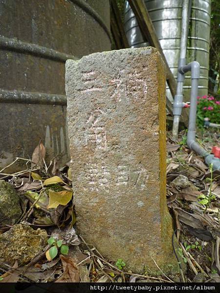 中山地政事務所N802.測量大隊TP01.莊子頂山.竹子湖山.海芋.頂北投大庄山.白雲山未遇 191 中山地政事務所N802.測量大隊TP01.莊子頂山.竹子湖山.海芋.頂北投大庄山.白雲山未遇 191