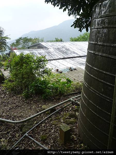 中山地政事務所N802.測量大隊TP01.莊子頂山.竹子湖山.海芋.頂北投大庄山.白雲山未遇 193