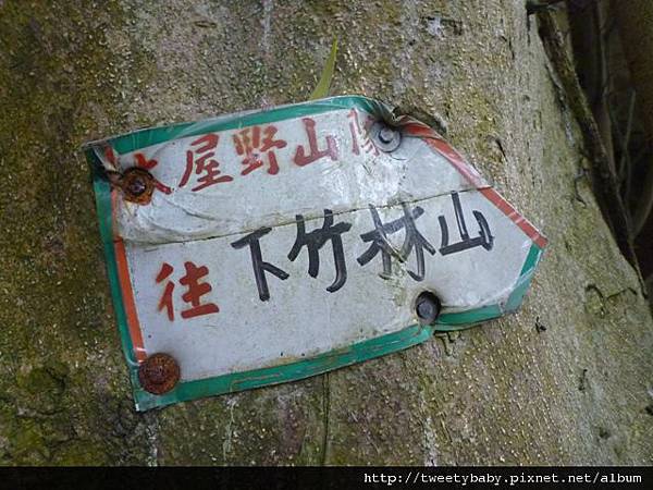 中山地政事務所N802.測量大隊TP01.莊子頂山.竹子湖山.海芋.頂北投大庄山.白雲山未遇 218 中山地政事務所N802.測量大隊TP01.莊子頂山.竹子湖山.海芋.頂北投大庄山.白雲山未遇 218