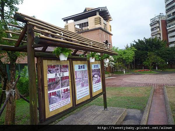 龍門國中流蘇花.鵝角格山.北市市80 017