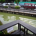 龍門國中流蘇花.鵝角格山.北市市80 047