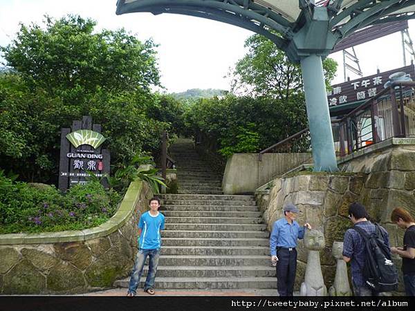 龍門國中流蘇花.鵝角格山.北市市80 053