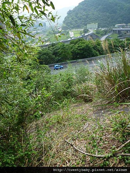 象頭埔山.富德山 070