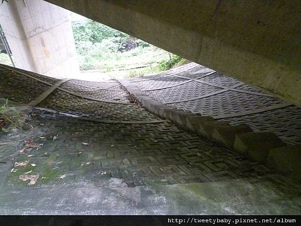 象頭埔山.富德山 090