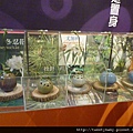 新和、琉球國小校際交流 054