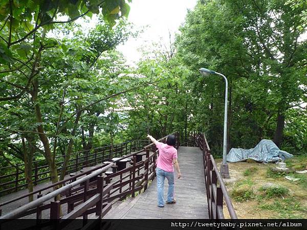 軍功山尋補30 061