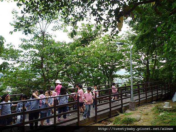 軍功山尋補30 062