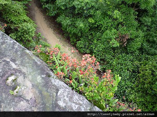 北市地測252.市483.市481.二等衛星控制點S029.洲美國小市411未遇 099