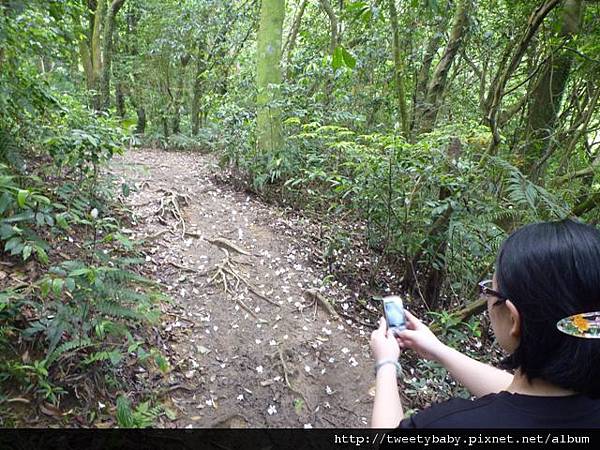 南邦寮山.二格山.北市市51基石 095