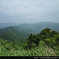 南邦寮山.二格山.北市市51基石 117