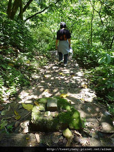 南邦寮山.二格山.北市市51基石 154