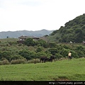 陽明山衛星追蹤站YMSB基點.235水準點.竹蒿山基點 170