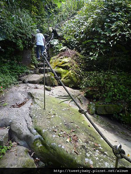 姜子寮瀑布.姜子寮絕壁.姜子寮山.泰安瀑布 021