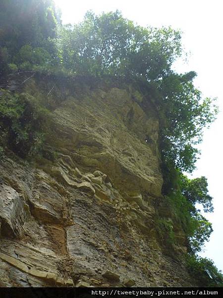 姜子寮瀑布.姜子寮絕壁.姜子寮山.泰安瀑布 044