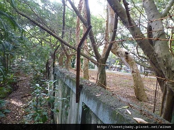 木柵公園.木柵萃湖 (31)