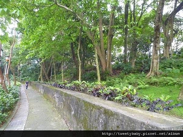 木柵公園.木柵萃湖 (54)