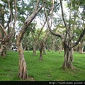 木柵公園.木柵萃湖 (63)