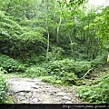 貓空尖山.貓空圓山.貓空圓山東北峰.次格中繼站市423未遇.北市市106未遇 054