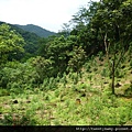 貓空尖山.貓空圓山.貓空圓山東北峰.次格中繼站市423未遇.北市市106未遇 060