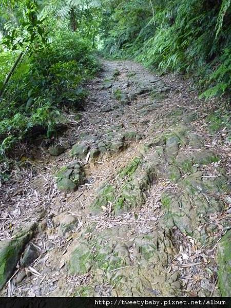 貓空尖山.貓空圓山.貓空圓山東北峰.次格中繼站市423未遇.北市市106未遇 062