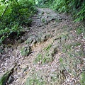 貓空尖山.貓空圓山.貓空圓山東北峰.次格中繼站市423未遇.北市市106未遇 062