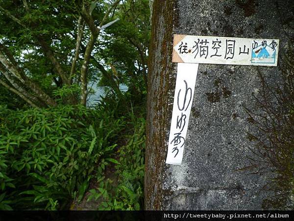 貓空尖山.貓空圓山.貓空圓山東北峰.次格中繼站市423未遇.北市市106未遇 101
