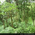 貓空尖山.貓空圓山.貓空圓山東北峰.次格中繼站市423未遇.北市市106未遇 108