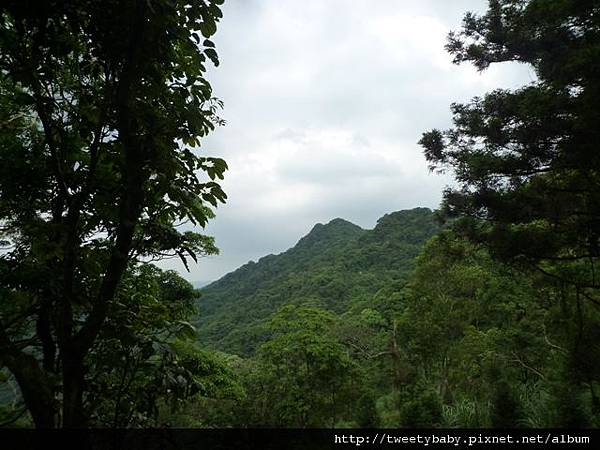 貓空尖山.貓空圓山.貓空圓山東北峰.次格中繼站市423未遇.北市市106未遇 109