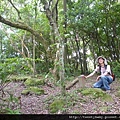 貓空尖山.貓空圓山.貓空圓山東北峰.次格中繼站市423未遇.北市市106未遇 113