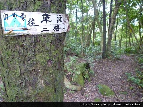 貓空尖山.貓空圓山.貓空圓山東北峰.次格中繼站市423未遇.北市市106未遇 116