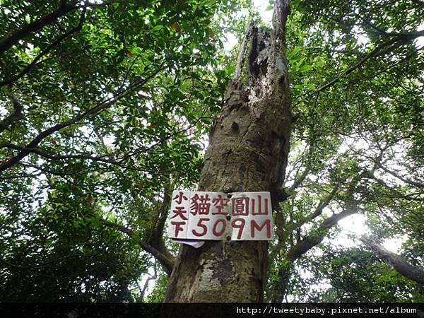 貓空尖山.貓空圓山.貓空圓山東北峰.次格中繼站市423未遇.北市市106未遇 117