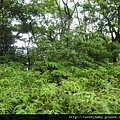 貓空尖山.貓空圓山.貓空圓山東北峰.次格中繼站市423未遇.北市市106未遇 125