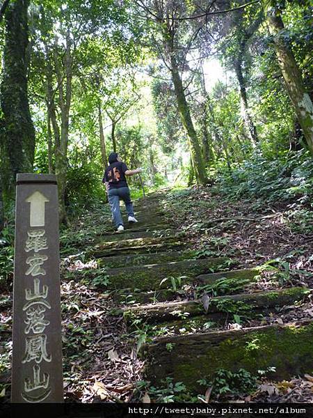 大桶山東峰.大桶山.四崁水山 022