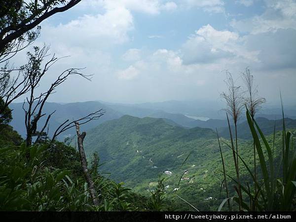 大桶山東峰.大桶山.四崁水山 111