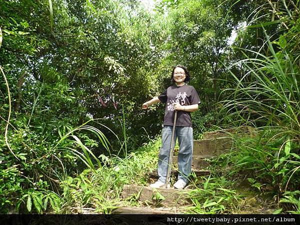 大桶山東峰.大桶山.四崁水山 138