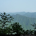 烏來山.大桶山.大桶山東峰 072