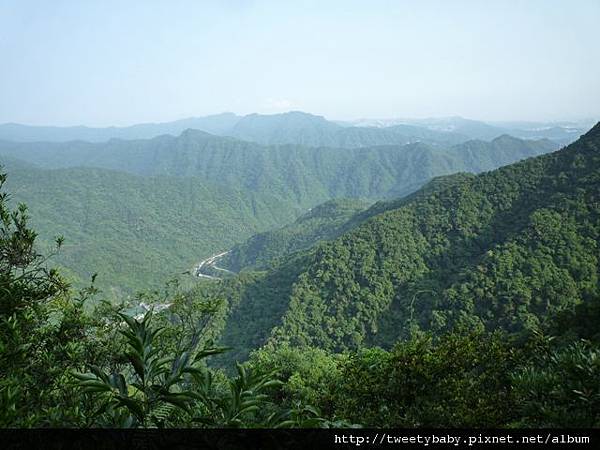 烏來山.大桶山.大桶山東峰 074